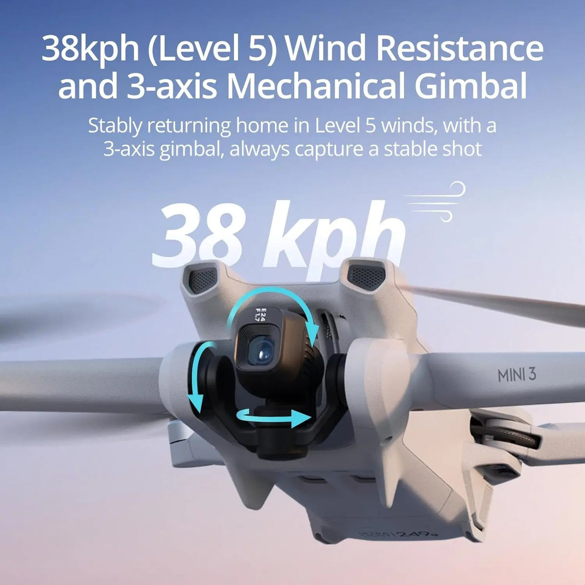 DJI Mini 3 (RC 2)